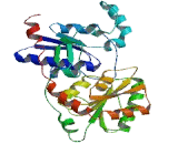 UDP Glucuronosyltransferase 2 Family, Polypeptide B28 (UGT2B28)