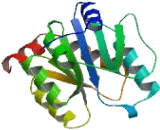 UDP Glucuronosyltransferase 3 Family, Polypeptide A1 (UGT3A1)