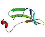 UDP Glucuronosyltransferase 3 Family, Polypeptide A2 (UGT3A2)