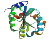 UDP Glycosyltransferase 8 (UGT8)