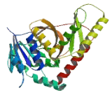 UEV And Lactate/Malate Dehyrogenase Domains Protein (UEVLD)