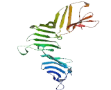 UHRF1 Binding Protein 1 (UHRF1BP1)