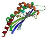 UL16 Binding Brotein 3 (ULBP3)