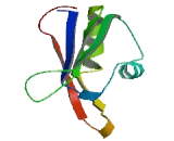 UPF3 Regulator Of Nonsense Transcripts Homolog B (UPF3B)