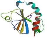 Ubinuclein 1 (UBN1)