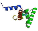 Ubiquinol Cytochrome C Reductase Binding Protein (UQCRB)