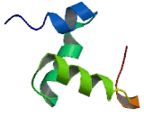 Ubiquitin Associated And SH3 Domain Containing Protein A (UBASH3A)