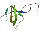 Ubiquitin Associated And SH3 Domain Containing Protein B (UBASH3B)