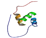 Ubiquitin Associated Domain Containing Protein 1 (UBAC1)