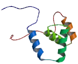 Ubiquitin Associated Protein 2 (UBAP2)