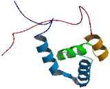 Ubiquitin Associated Protein 2 Like Protein (UBAP2L)