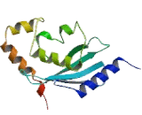 Ubiquitin Conjugating Enzyme E2B (UBE2B)