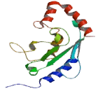 Ubiquitin Conjugating Enzyme E2F (UBE2F)