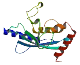 Ubiquitin Conjugating Enzyme E2G2 (UBE2G2)