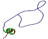 Ubiquitin Conjugating Enzyme E2O (UBE2O)