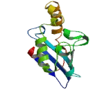 Ubiquitin Conjugating Enzyme E2Z (UBE2Z)