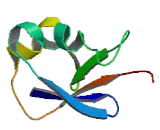 Ubiquitin Domain Containing Protein 1 (UBTD1)