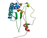 Ubiquitin Fold Modifier Conjugating Enzyme 1 (UFC1)