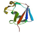 Ubiquitin Like Domain Containing CTD Phosphatase 1 (UBLCP1)