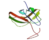 Ubiquitin Like Modifier Activating Enzyme 6 (UBA6)