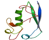 Ubiquitin Related Modifier 1 (URM1)