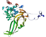 Ubiquitin Specific Peptidase 17 Like Protein 3 (USP17L3)