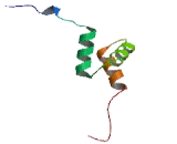 Ubiquitin Specific Peptidase 25 (USP25)