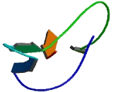 Ubiquitin Specific Peptidase 30 (USP30)