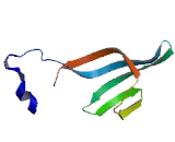 Ubiquitin Specific Peptidase 32 (USP32)