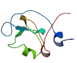 Ubiquitin Specific Peptidase 39 (USP39)