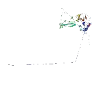 Ubiquitin Specific Peptidase 44 (USP44)