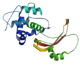 Ubiquitin Specific Peptidase 6 (USP6)