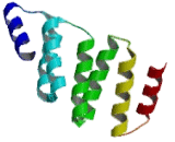 Ubiquitously Transcribed Tetratricopeptide Repeat Gene, Y-Linked (UTY)