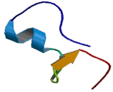 Uncoupling Protein 3, Mitochondrial (UCP3)