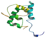 Undifferentiated Embryonic Cell Transcription Factor 1 (UTF1)