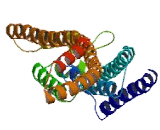 Upregulator Of Cell Proliferation (URGCP)