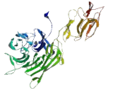 Upstream Binding Protein 1 (UBP1)