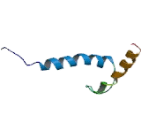 Upstream Transcription Factor 2, c-Fos Interacting (USF2)