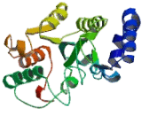 Uracil DNA Glycosylase (UNG)