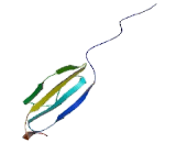 Urea Transporter, Kidney (UTR)