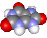 Uric Acid (UA)