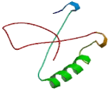 Uridine Phosphorylase 2 (UPP2)