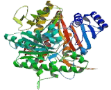 Urocanase Domain Containing Protein 1 (UROC1)