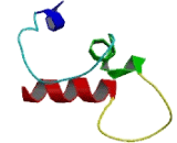 Uroplakin 3B (UPK3B)