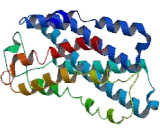 Urotensin 2 Receptor (UTS2R)