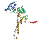 Usher Syndrome 1C Binding Protein 1 (USHBP1)