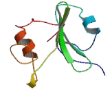 V-Abl Abelson Murine Leukemia Viral Oncogene Homolog 2 (ABL2)