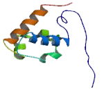 V-Ets Erythroblastosis Virus E26 Oncogene Homolog (ERG)