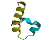 V-Maf Musculoaponeurotic Fibrosarcoma Oncogene Homolog A (MAFA)