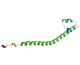 V-Maf Musculoaponeurotic Fibrosarcoma Oncogene Homolog G (MAFG)